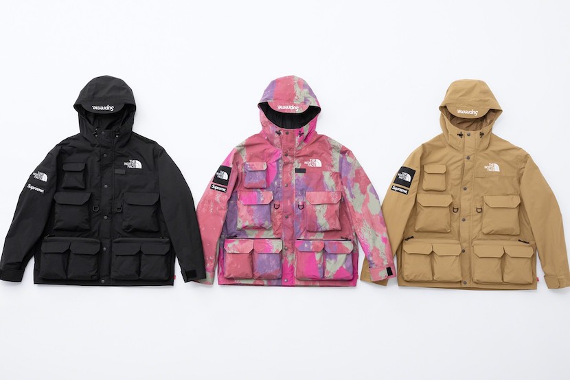 Supreme & best sale the north face