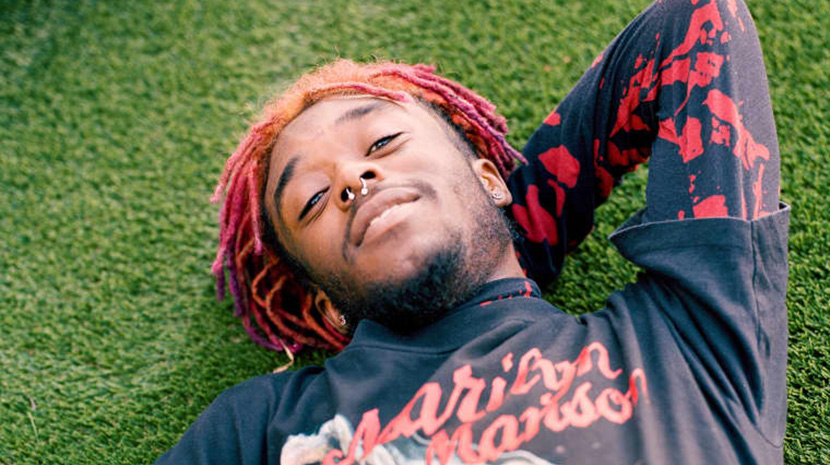 Lil Uzi Vert и Grimes планируют чипироваться
